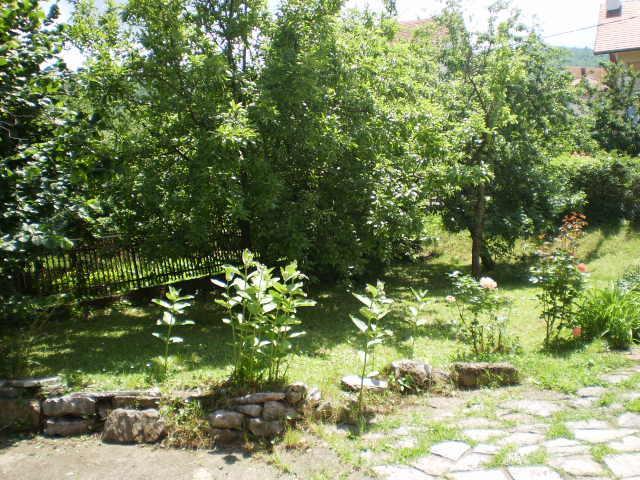 Studio Elizabeta Soko Banja Εξωτερικό φωτογραφία